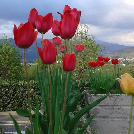 Frühstückspension Mirella 4*