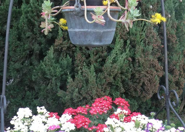 Mirella Casnate Con Bernate