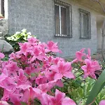 Mirella