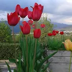 Frühstückspension Mirella 4*