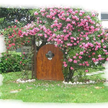 Mirella Bed & Breakfast
