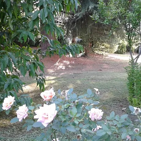 Bed & Breakfast Mirella